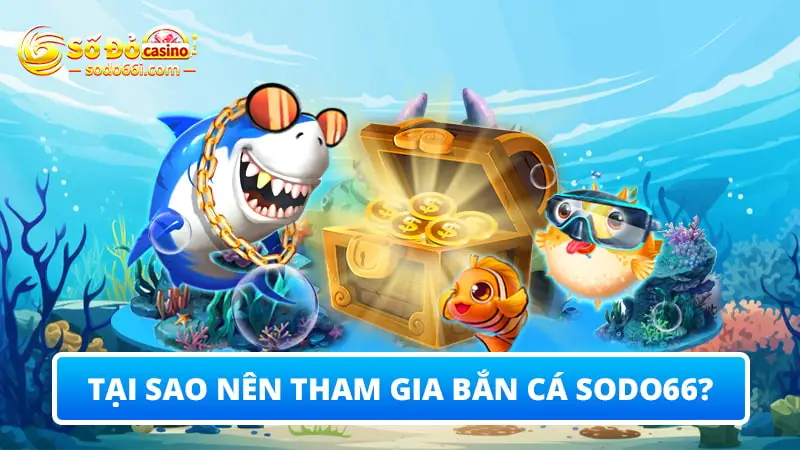 Tại sao nên tham gia bắn cá SODO66