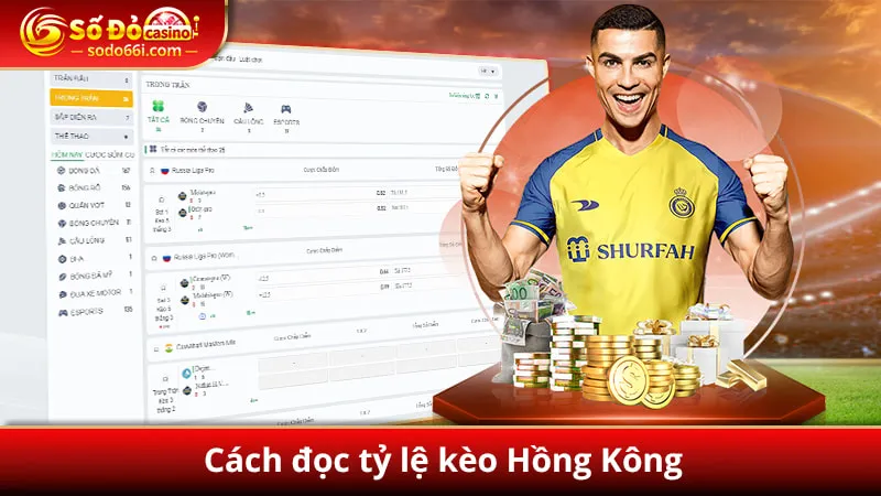 Cách đọc tỷ lệ kèo Hồng Kông