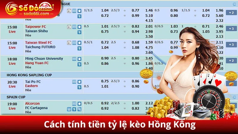 Cách tính tiền tỷ lệ kèo Hồng Kông