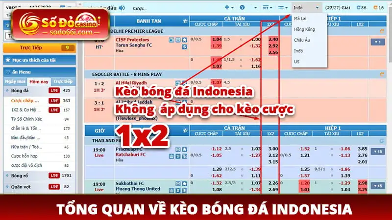 Giới thiệu tổng quan về kèo bóng đá Indonesia